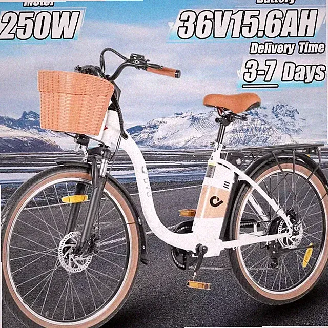 26-inch Tire E-bike DYU C6 PRO 250W Motor 36V15.6AH Adult Electric Bike W/Basket