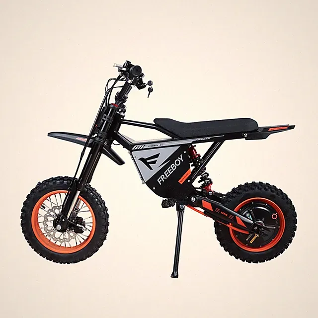 Freeboy Electric Dirt Bike 3000W Peak Electric Motorcycle 48V 30AH Bike 34MPH