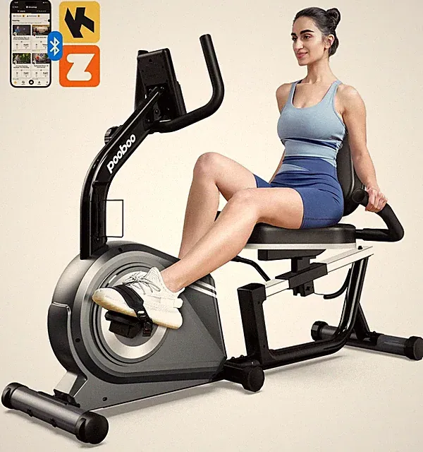 Recumbent Exercise Bike Magnetic Resistance Sit Down Cardio Workout For Seniors